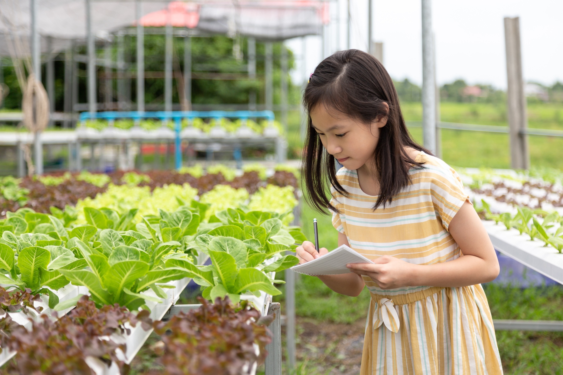 A Look at School Grants in Wisconsin That Focus on Agriculture